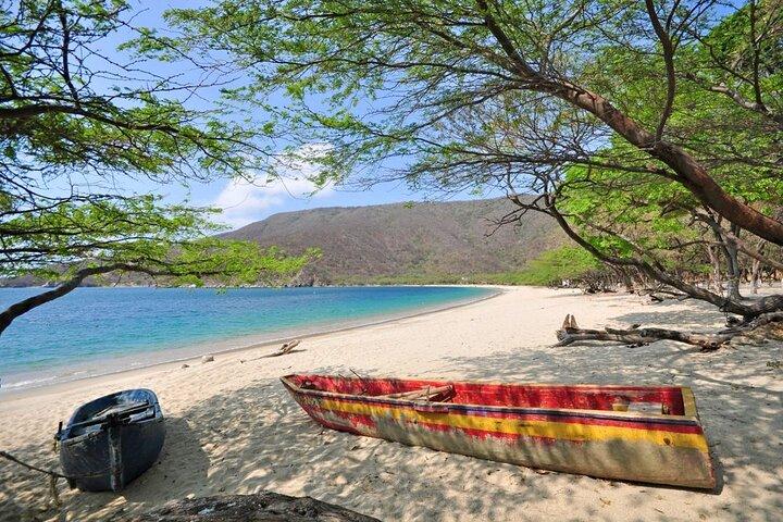 Private transfer from Santa Marta to Tayrona Park area o Palomino