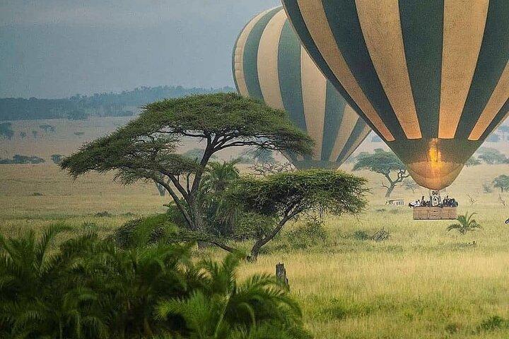 8-Day Tanzania Private Safari Tour with Airport Pickup