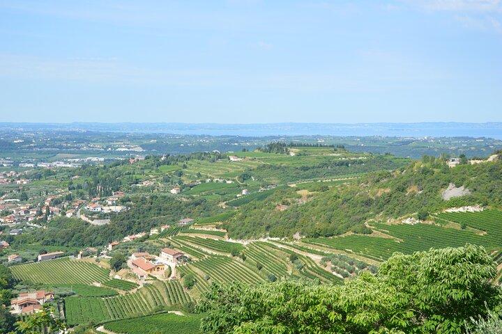 Pagus Wine Tours® - A taste of Amarone - Half day wine tour