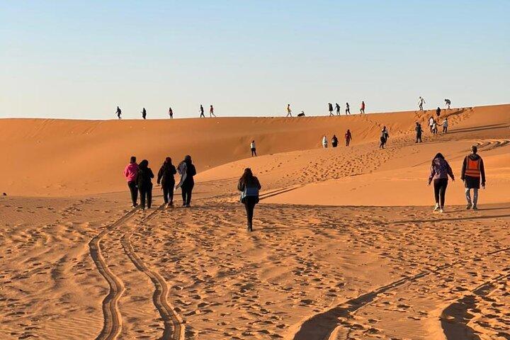 Red Sand Dunes Tour Riyadh | Camel Ride & Quad Biking
