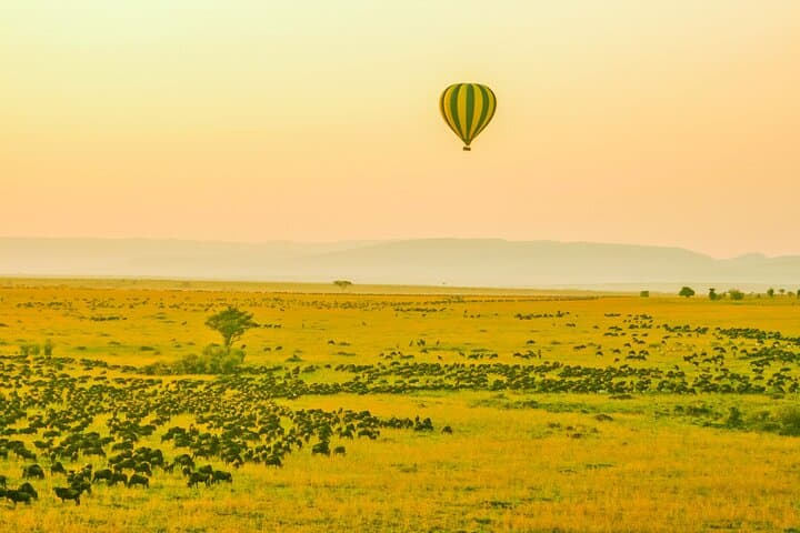 Private 3 Days Astounding Masai Mara Migration Safari.