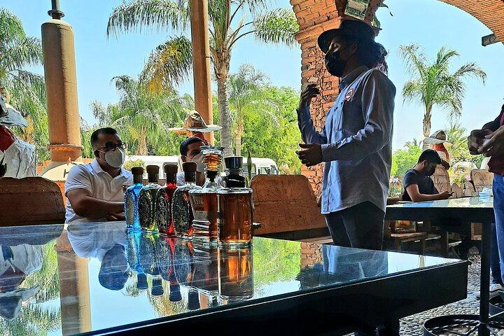 full day Tequila tour visiting artisanal distillery and downtown.