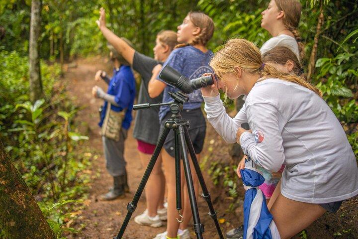 Private Blue Waterfall, Sloth Sanctuary and Coffee Tour Day Trip