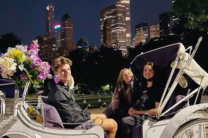 Central Park Moonlight Tour with Photo (45 min) ~ Skip the line
