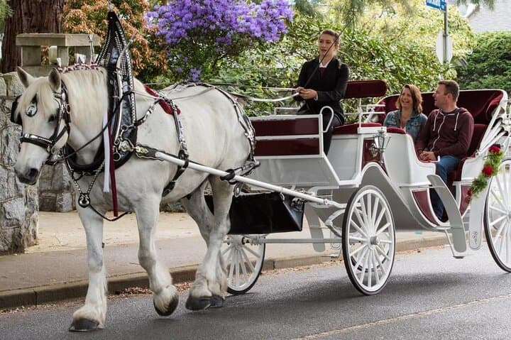 Carriage Ride in Central Park (VIP - PRIVATE) Since 1964™