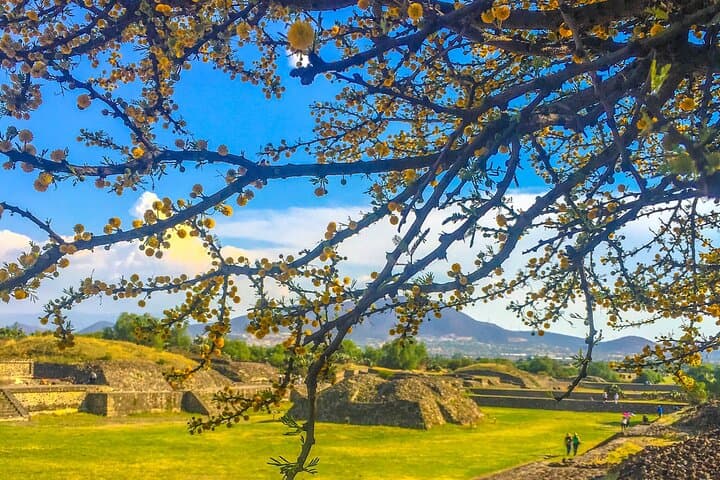 Private Tour Teotihuacan & Guadalupe Shrine Bespoke Experience