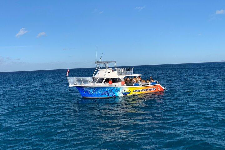 Waikiki: BYOB Sunset Cruise