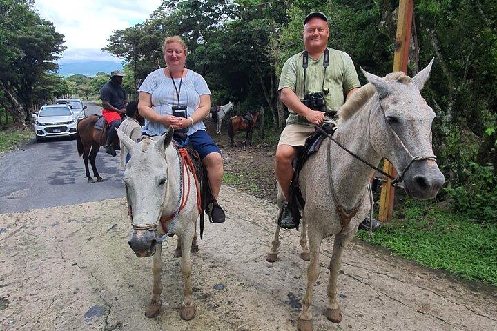 volcano,Waterfall,Horses,Hotsprings,Mudbath,HangingBridges