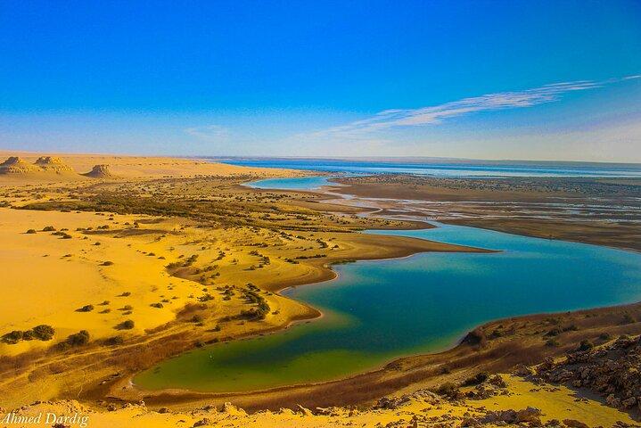 Private Tour to Whales Valley & Wadi El Rayan Waterfalls in El Fayoum from Cairo