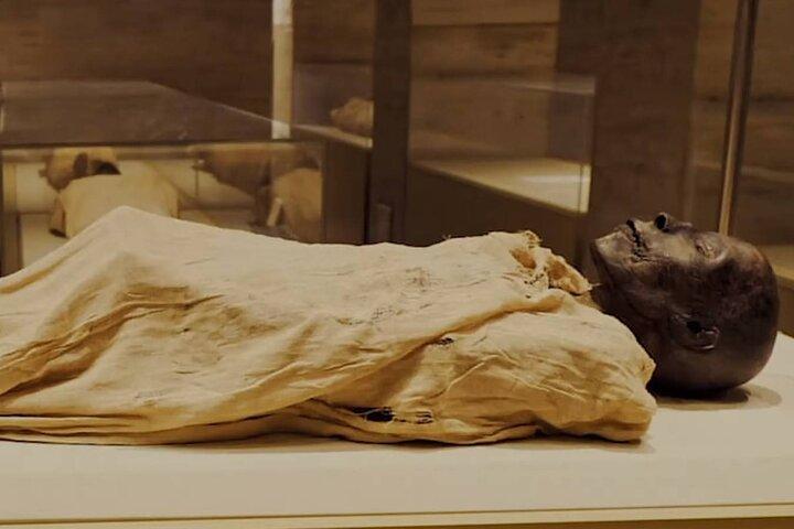 Short Stopover Tour to The National Museum of Egyptian Civilization
