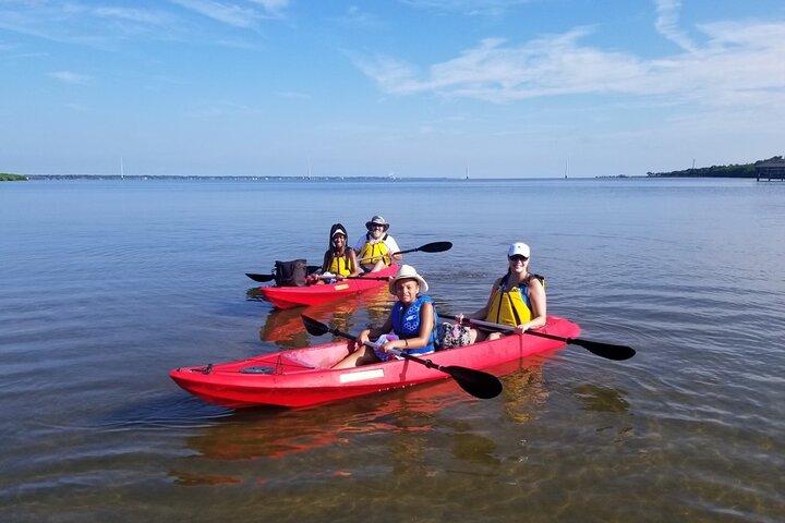 Indian River Clear Bottom Kayak or Paddleboarding Manatee and Dolphin Tour