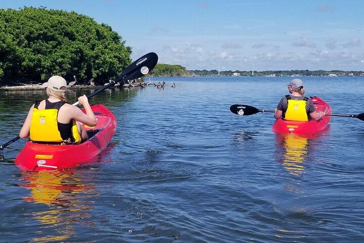 Indian River Clear Bottom Kayak or Paddleboarding Manatee and Dolphin Tour