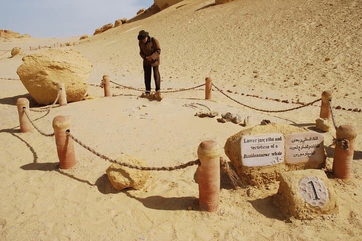 From Cairo: Whale Valley and Wadi El Rayan Waterfalls Tour