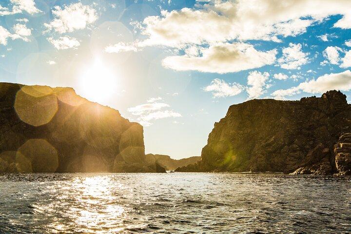 2 Hour Boat Tour in Twillingate