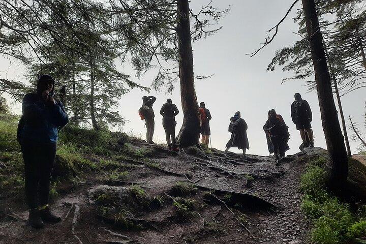 Private day hike from Brasov to Malaiesti Cottage