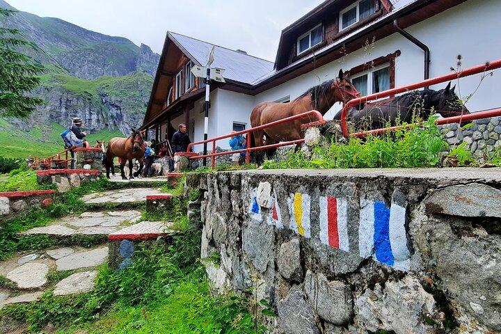 Private day hike from Brasov to Malaiesti Cottage