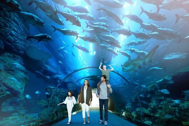 Dubai Aquarium and Underwater Zoo regular pass