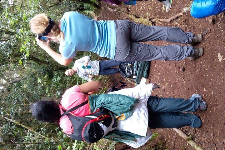 Mountain Kilimanjaro Day Hike