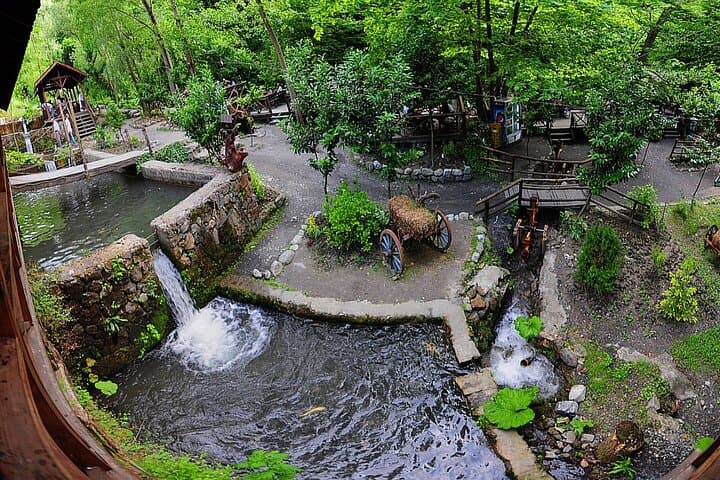 Day Tour Sapanca, Masukiye Tour from Istanbul