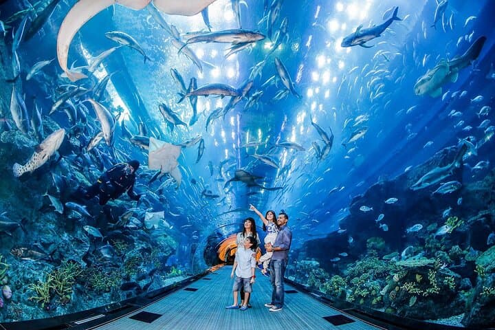 Burj Khalifa At The Top & Underwater Zoo Aquarium with Transfer