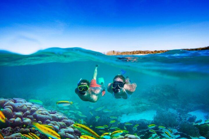 Sunset Catamaran cruise, Snorkeling and Rick's Cafe from Mobay