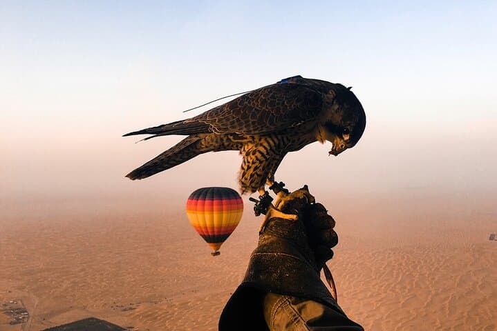 Dubai Desert By Hot Air Balloon With Falcon Show and Camel