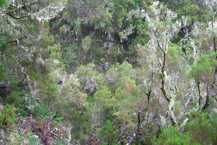 Madeira Levada Walk - Rabacal Lakes and Fountains