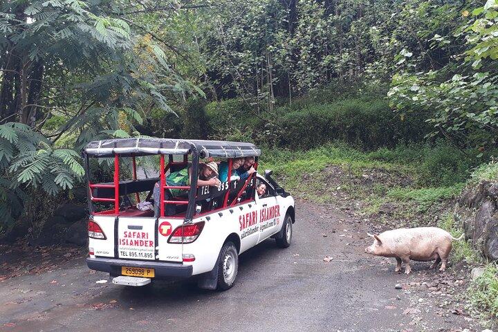 Crossing Island of Tahiti 4x4 Mountain, Waterfall, River, Basins