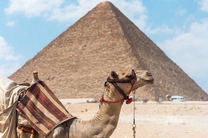 Day Tour To Giza Pyramids With Camel Ride And Egyptian Museum In Cairo