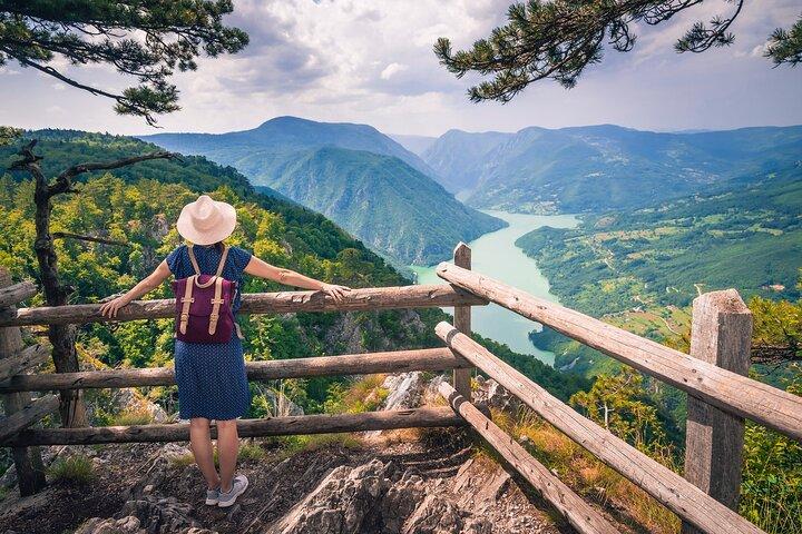 Full Day Trip from Belgrade: The Drina River House And Tara Park Tour