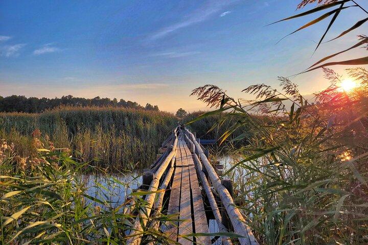 From Riga: Best of Kemeri National Park In One Day
