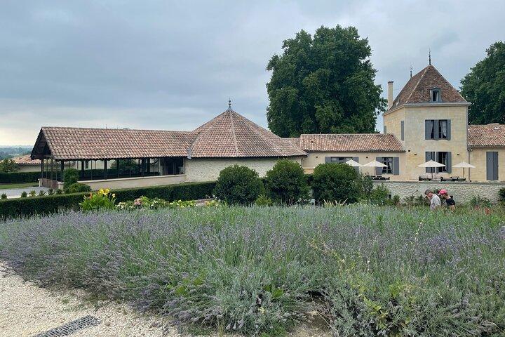 Private Tour in St-Emilion: Tours of Grand Crus and the village