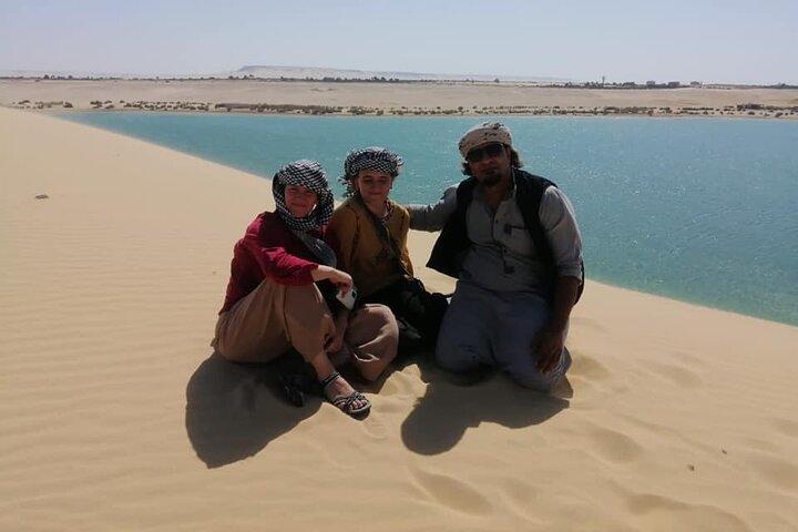 Valley of Whales and Wadi El Rayan Water Falls Private Tour
