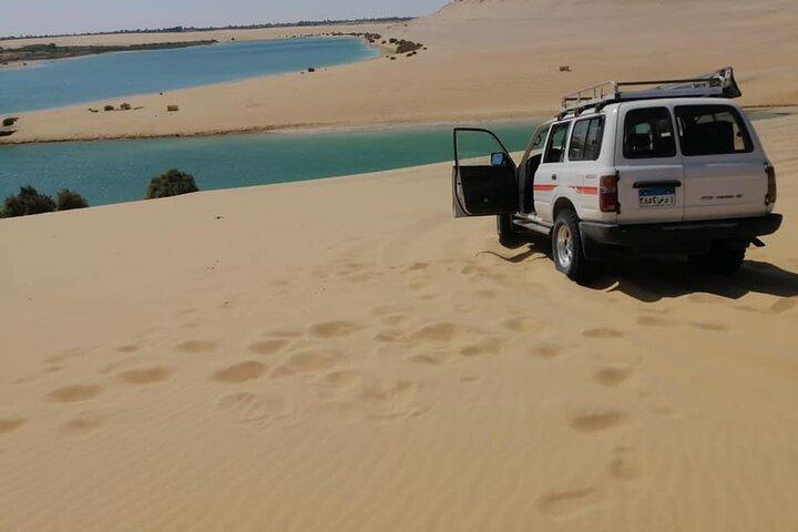 Valley of Whales and Wadi El Rayan Water Falls Private Tour
