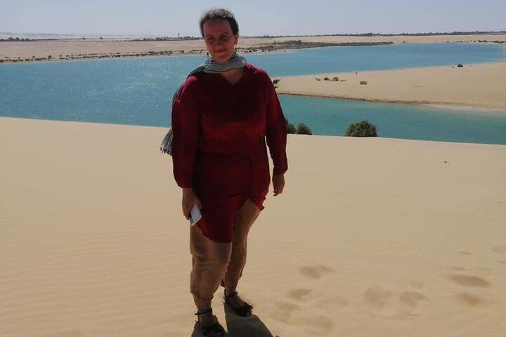 Valley of Whales and Wadi El Rayan Water Falls Private Tour