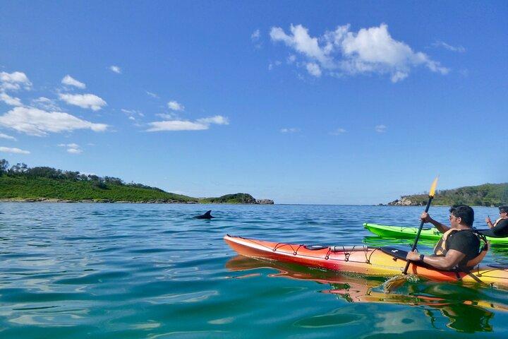 Half-Day Jervis Bay Sea Kayak Tour
