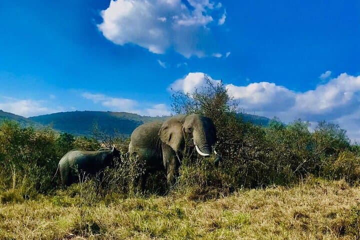 3 days/2 nights budget-group joining Masai Mara Safari