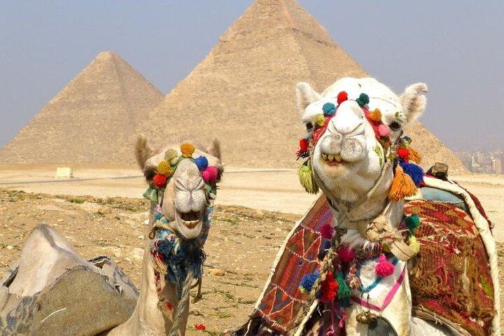 Luxury Camel Ride Around Giza Pyramids with Panoramic view