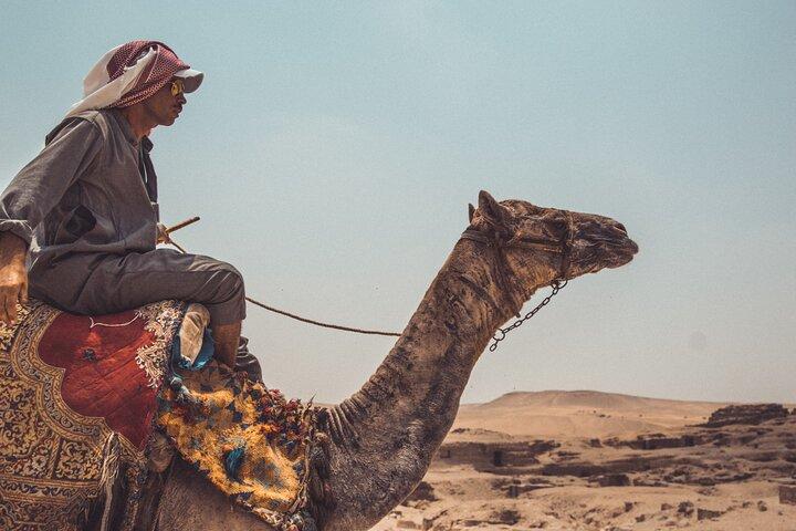 Tour To Pyramids Of Giza, Museum Visit & Dinner Cruise Combo