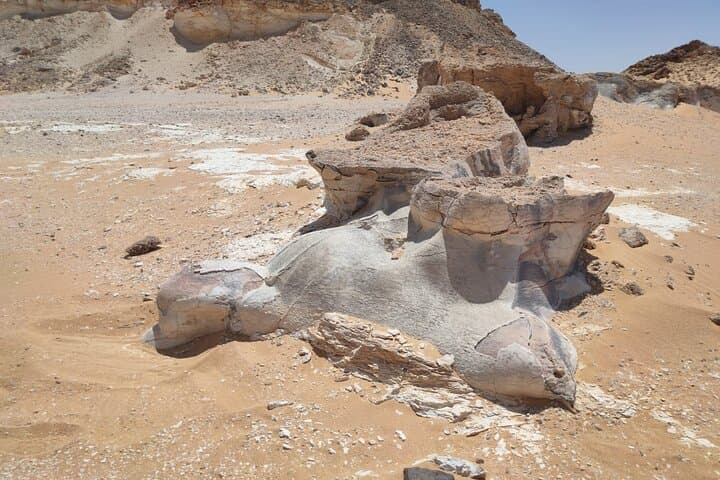 Day Trip To Baharya Oasis Visit Black And White Desert From Cairo