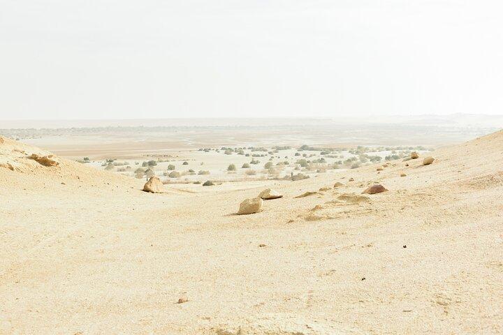 Fayoum Full Day tour Bird Watching