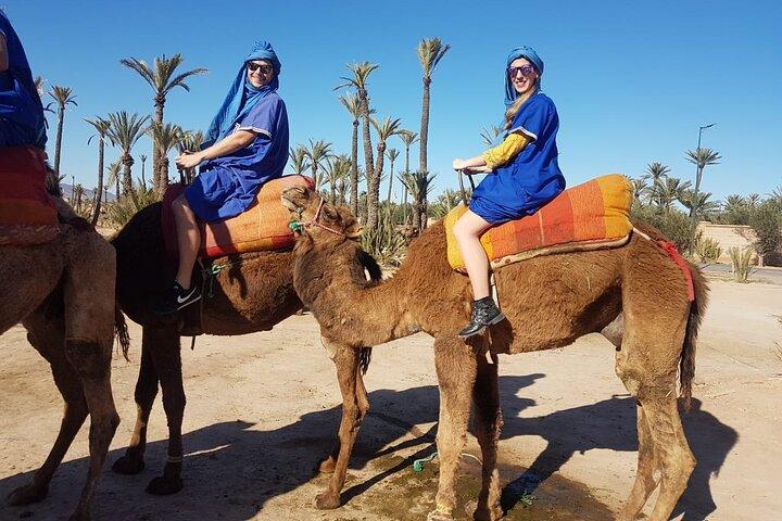 Camel Ride at the Palm Groves in Marrakech