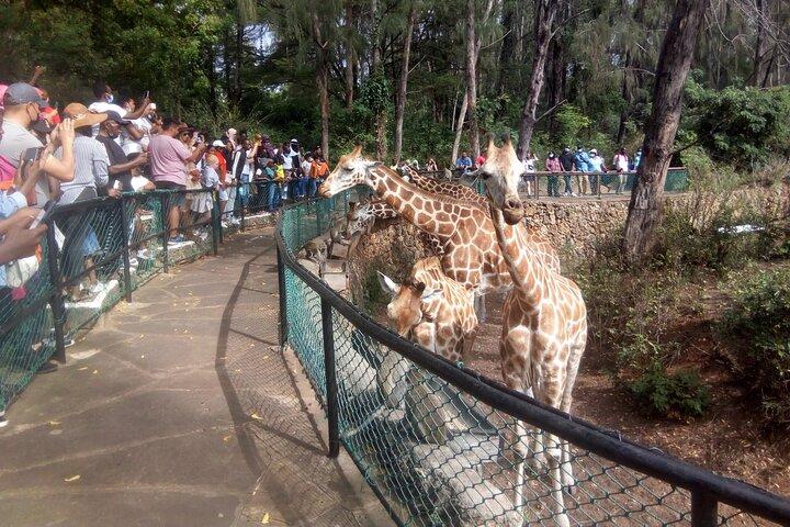 Mombasa Day Tour