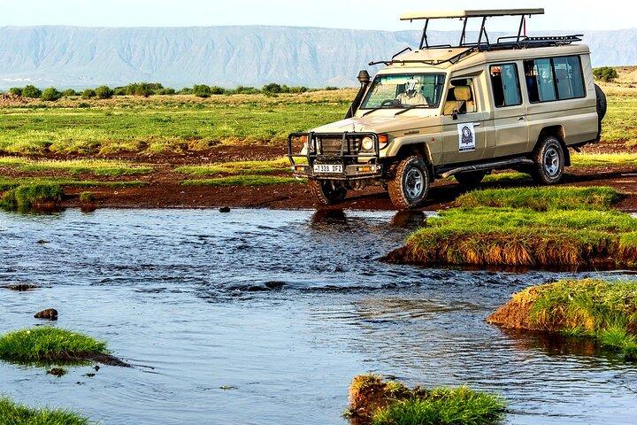 4 Days Best Budget Tanzania Camping Safaris