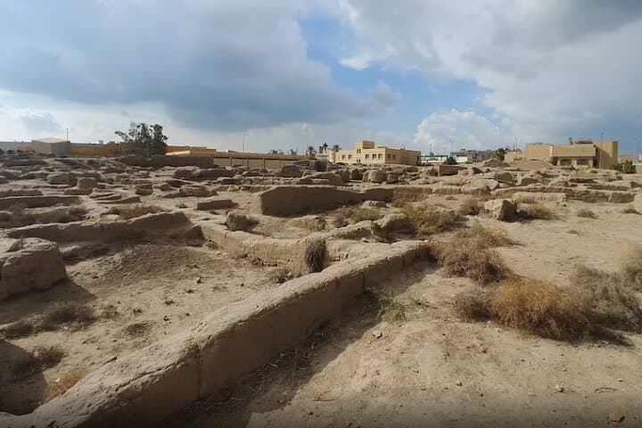Private Day Tour to Tanis Bubastis Cairo