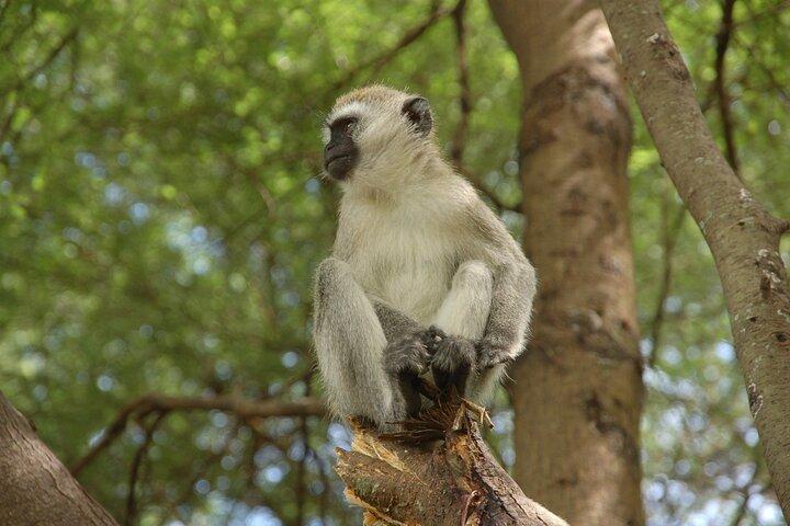 5 Days in the wild & a day hike around Materuni Waterfall.