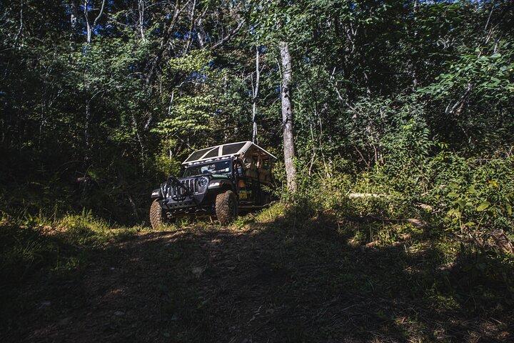 Smoky Mountains Roaring Fork Guided Sightseeing Tour by Jeep
