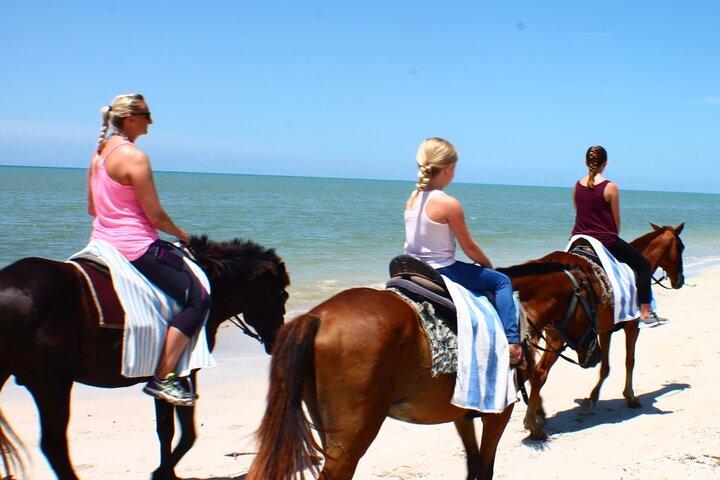 Horseback riding, shopping and lunch