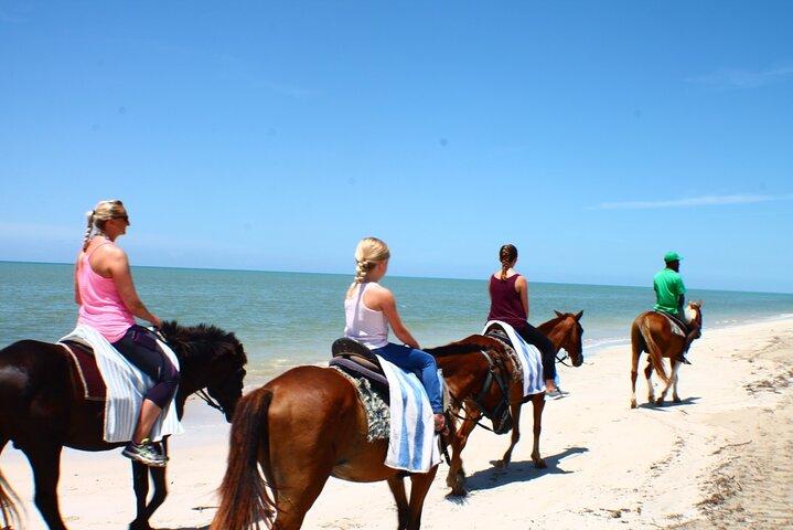 Horseback riding, shopping and lunch