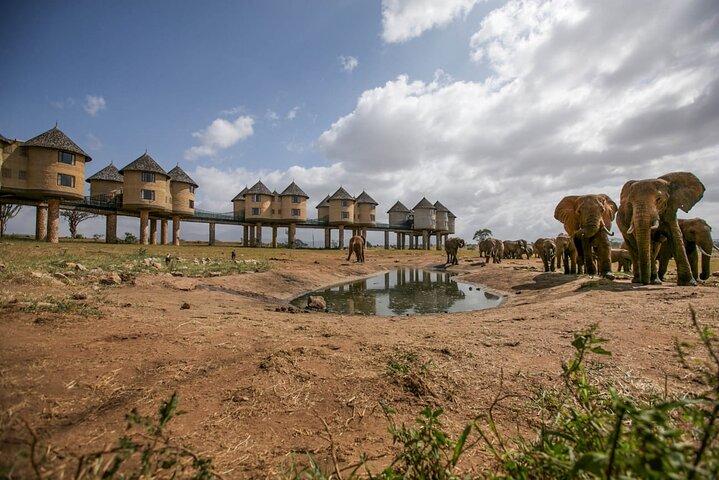2 Days Kenya Safari special Tsavo East and Taita hills Saltlick from Mombasa